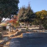 庭木、灯篭があります。