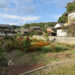 343番1：東から西へ向いて撮った写真です。