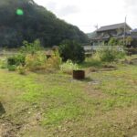 350番：北東から南西へ向いて撮った写真です。