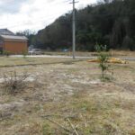 344番1：北から南へ向いて撮った写真です。