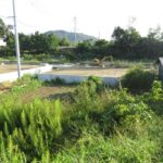 令和7年10月1日撮影：南西から北東へ向いて撮った写真です。