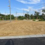 令和7年11月6日撮影：西から8号地を撮った写真です。