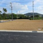 令和7年11月6日撮影：北から11号地を撮った写真です