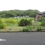 南西から撮った写真です。
