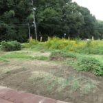 北東から撮った写真です。