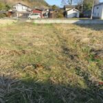 西から東へ向いて撮った写真です。