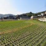 売地（農地用地）浅口市鴨方町本庄