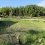 売地（農地用地）浅口市鴨方町本庄 画像3