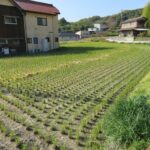 売地（農地用地）浅口市鴨方町本庄 画像4