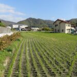 売地（農地用地）浅口市鴨方町本庄 画像6