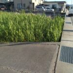 南から北へ向いて撮った写真です。