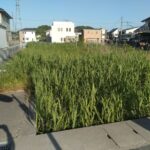 売地（事業用地） 笠岡市西大島新田