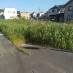 南東から北西へ向いて撮った写真です。
