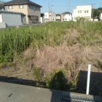 北東から南西へ向いて撮った写真です。