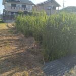 南から北へ向いて撮った写真です。