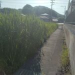 西から東へ向いて撮った写真です。