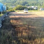 北から南へ向いて撮った写真です。 北から南へ向いて撮った写真です。
