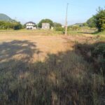 東から西へ向いて撮った写真です。 東から西へ向いて撮った写真です。
