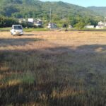 北東から南西へ向いて撮った写真です。 北東から南西へ向いて撮った写真です。