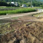 公衆用道路:北から南へ向いて撮った写真です。 公衆用道路:北から南へ向いて撮った写真です。