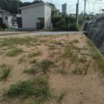 3号地:北東から南西へ向いて撮った写真です。 3号地:北東から南西へ向いて撮った写真です。