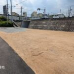 3号地：東から西へ向いて撮った写真です。
