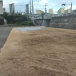 3号地:東から西へ向いて撮った写真です。 3号地:東から西へ向いて撮った写真です。