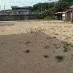 南から北へ向いて撮った写真です。 南から北へ向いて撮った写真です。
